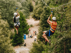 Zip Line